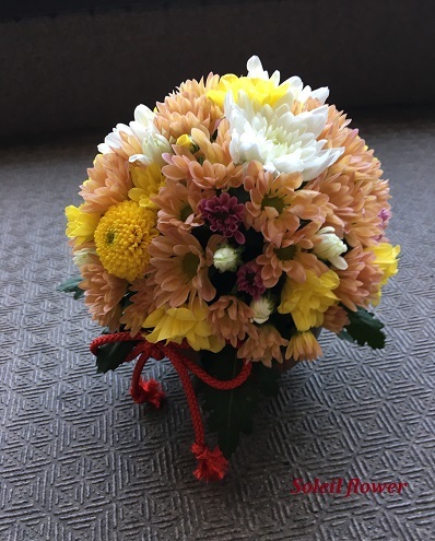 菊玉
